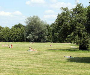 Las Szymańskiego