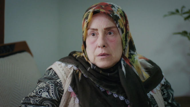 Dziedzictwo, odc. 896. Cennet