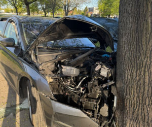 Poranny wypadek w Lesznie. Kierowca osobówki uderzył w drzewo