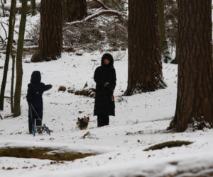Marta Kaczyńska z synem i psami na sankach w lesie