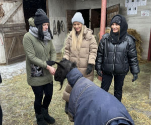 Joanna Krupa odwiedza schronisko dla zwierząt