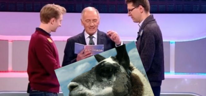 Familiada - historyczna wpadka na nowo! Pękniecie ze śmiechu 