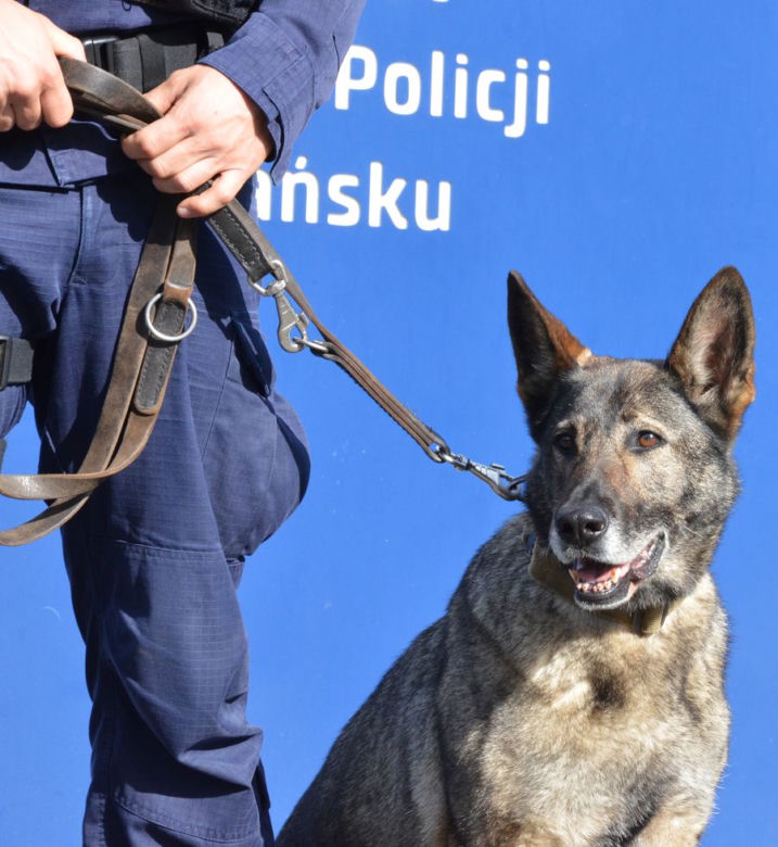 Luna odchodzi na emeryturę. "Siedem lat była w policji"