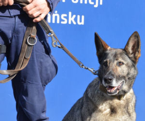 Luna odchodzi na emeryturę. Siedem lat była w policji