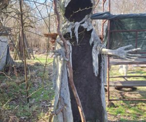 Surrealistyczne rzeźby zdobią ogród. Budzą niepokój i ciekawość