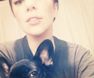 Lady Gaga przesadza w miłości do psa.