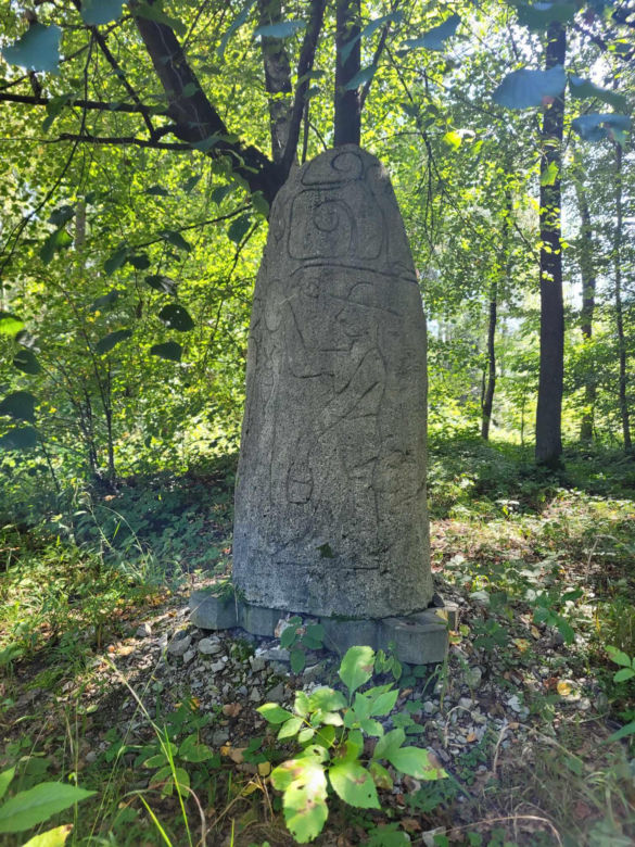 Prastara Puszcza Dulowska w Małopolsce. Spotkasz tam nawet łosie! 