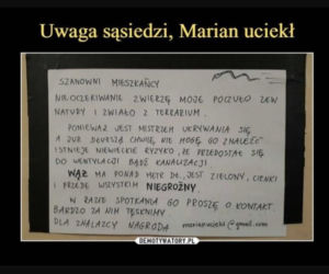 Oto najlepsze ogłoszenia z klatek schodowych!