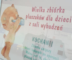 Pomóż się przytulić: Wielka zbiórka pluszowych misiów dla CZD!