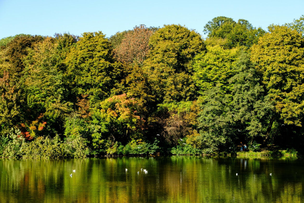 Park Skaryszewski 
