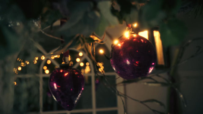 Marcin Najman nagrał kolędę