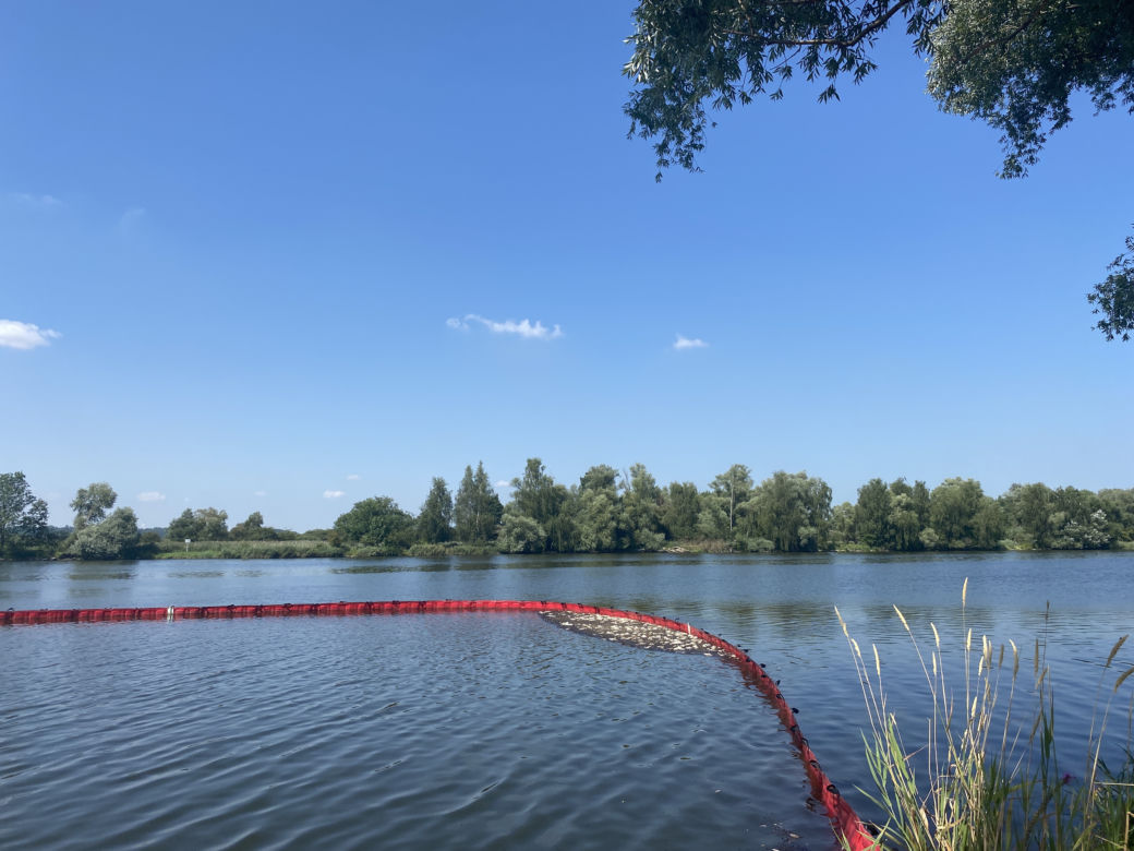 Katastrofa ekologiczna na Odrze. W Gryfinie i Żabnicy trwa stawianie zapór na rzece [ZDJĘCIA]