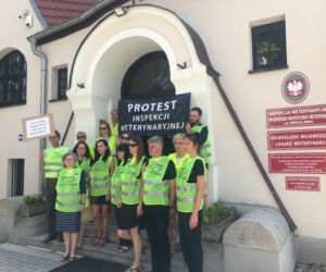 Protest pracowników inspekcji weterynaryjnej