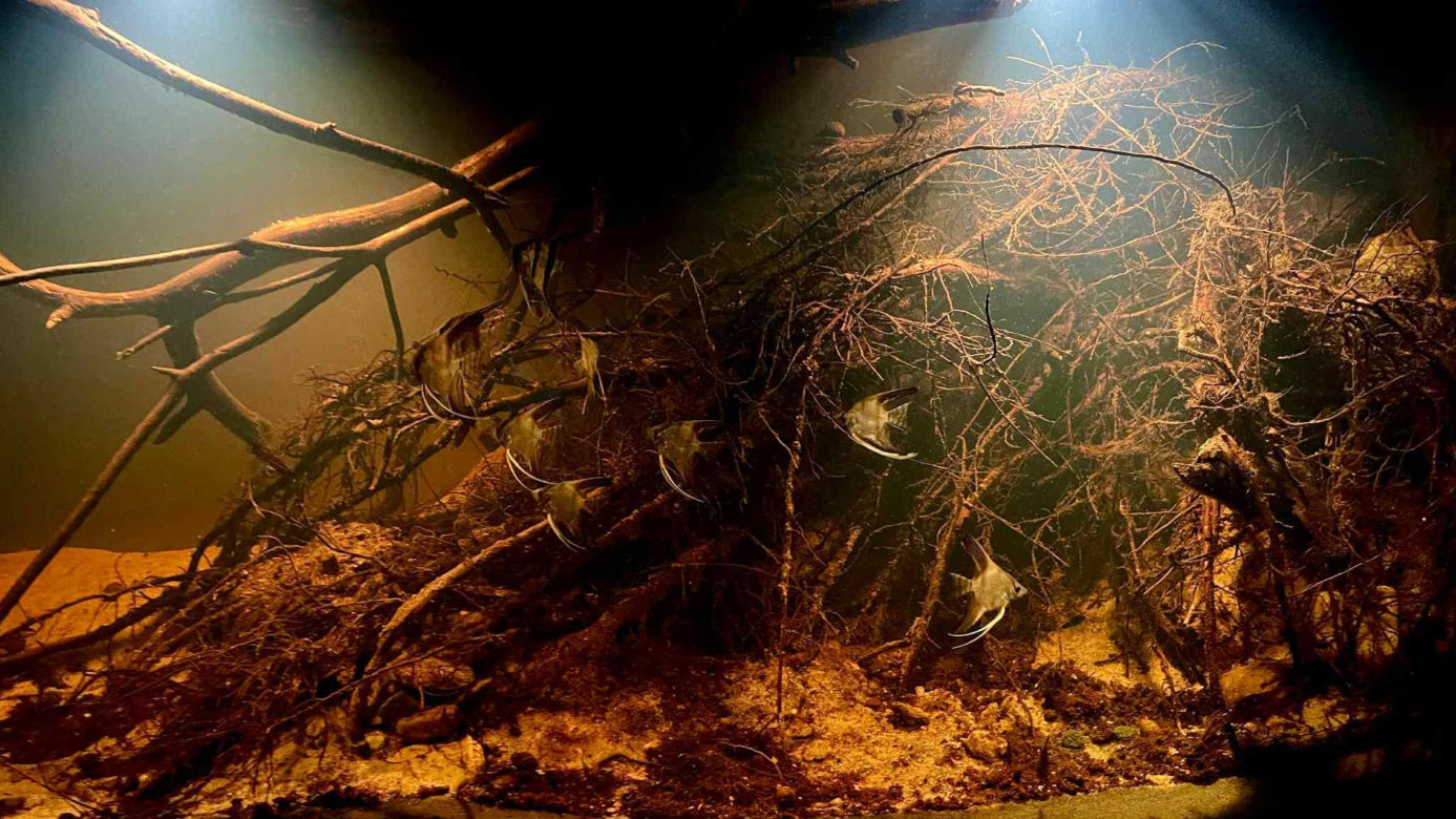 Rozmawiamy z Tomaszem Wiśniewskim, założycielem Aqua Dreams Bydgoszcz