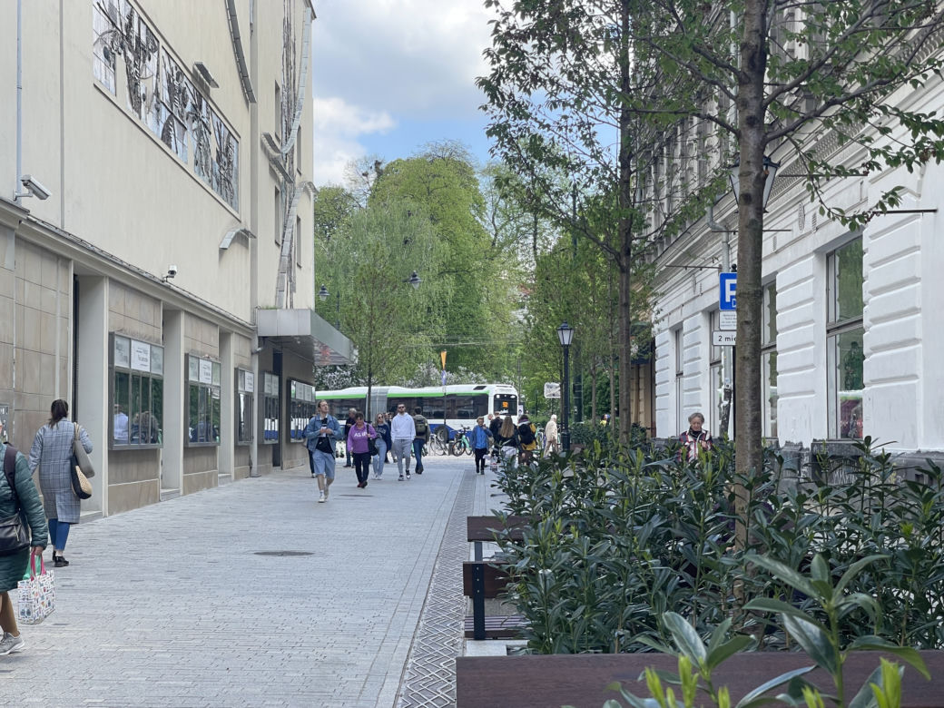 Zieleń w centrum miasta. Tak zmienia się ul. Krupnicza w Krakowie! 