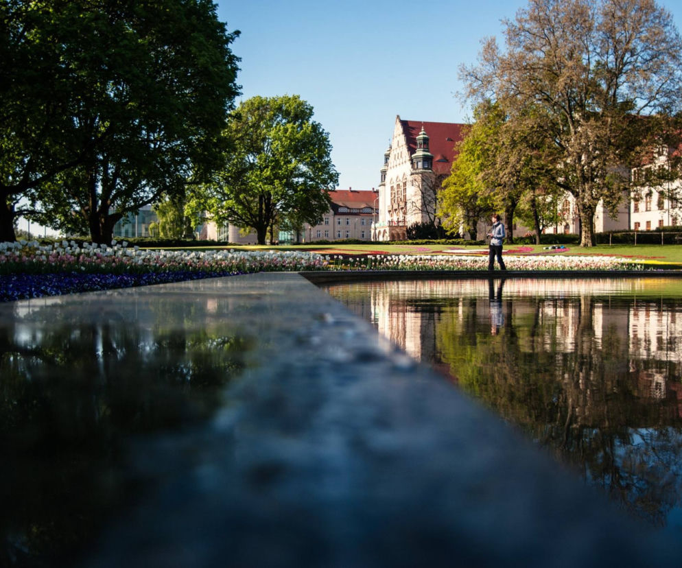 Tulipany w parku Adama Mickiewicza