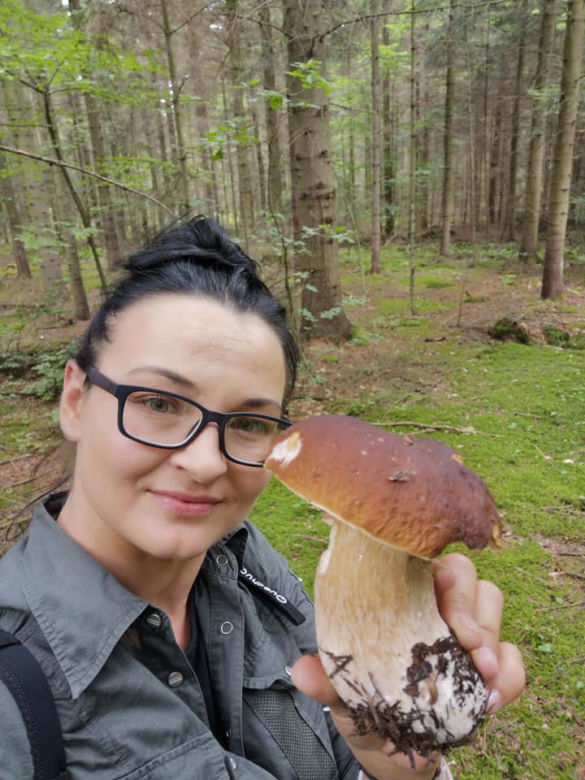 Zbiory Beata Życińska Wojtan
