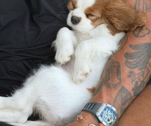 Aryna Sabalenka z partnerem i pieskiem Ash