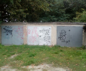 Nastoletni wandale grasowali po Pile