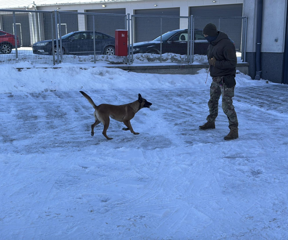 Wyjątkowa funkcjonariuszka w lubelskiej policji. Tajga wróciła z międzynarodowej misji