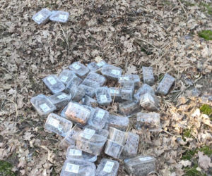 Dziesiątki pudełek winogron wyrzucono do lasu na Soplicowie
