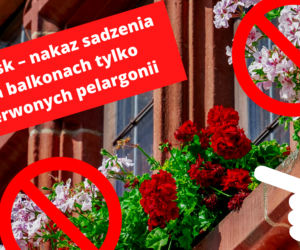 Gdańsk