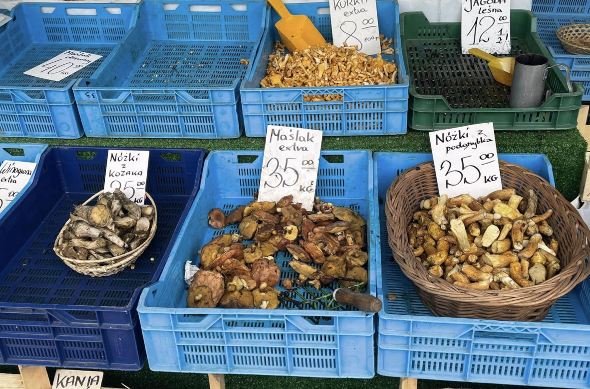 Ceny grzybów w Krakowie. Maślaki, nóżki z podgrzybków i kozaków na Placu Imbramowskim