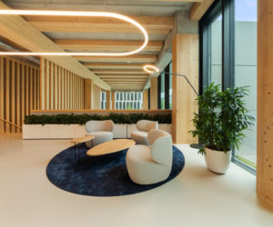 Timber Pioneer we Frankfurcie