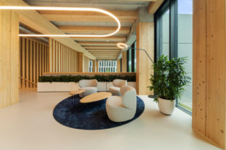 Timber Pioneer we Frankfurcie