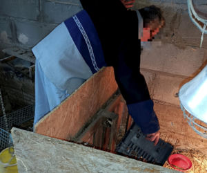 Półroczna Lusia udusiła się w pudełku owiniętym folią. Właścicielka uniewinniona