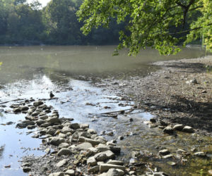 Wysychające Jeziorko Czerniakowskie