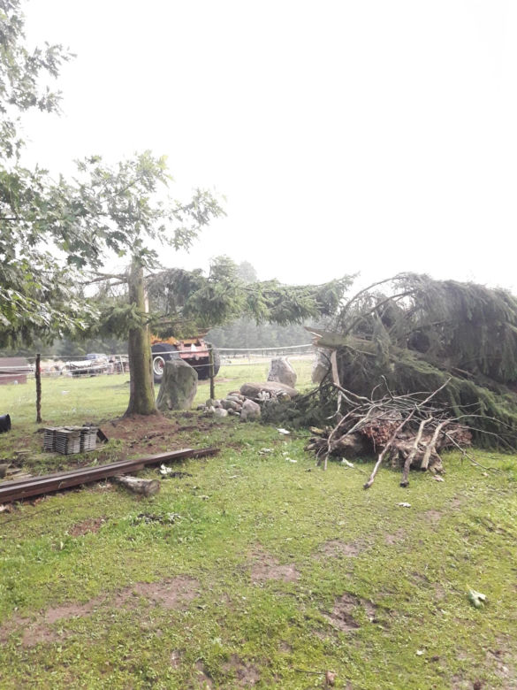 Rolnicy. Podlasie. Maciej z Kundzicz liczy straty. Wichura spustoszyła mu farmę