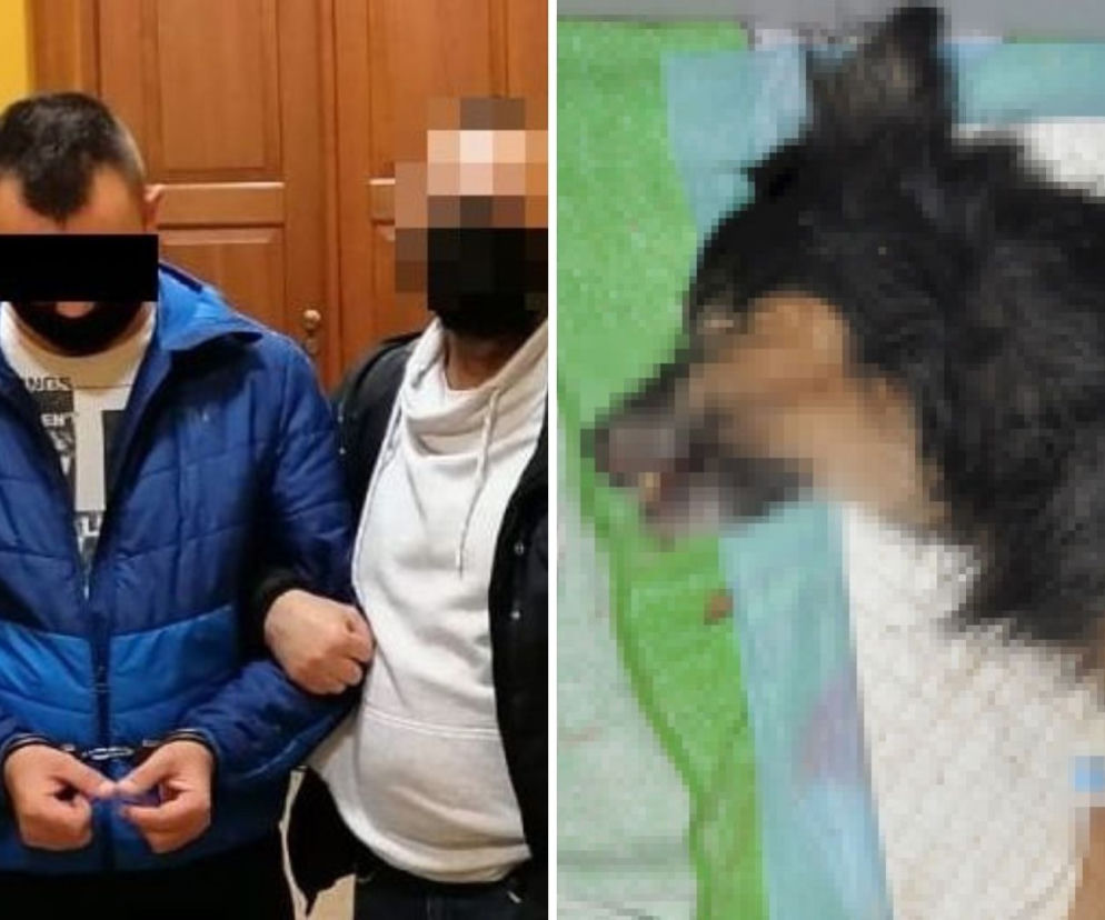 Lublin: Potwór SKATOWAŁ psa łopatą i ZAKOPAŁ ŻYWCEM. Kłamał jak najęty! Jaka kara?