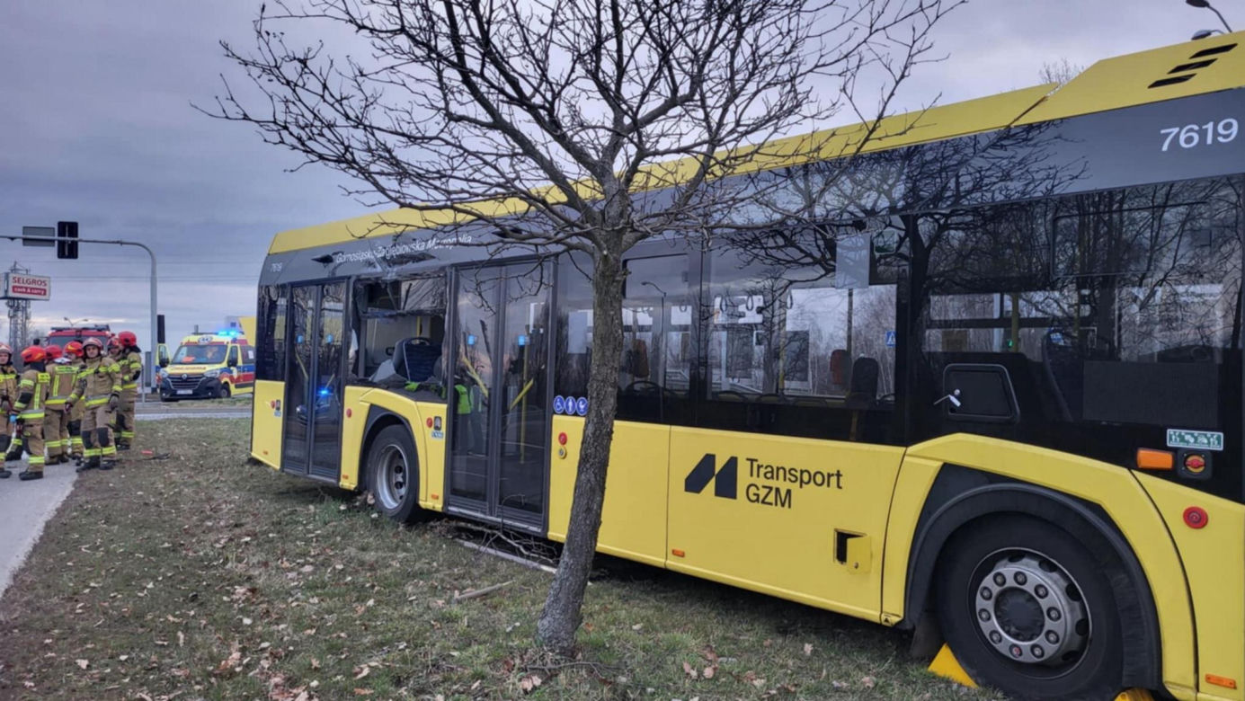 Dramatyczny wypadek autobusów w Katowicach! Kierowca wypadł przez okno.