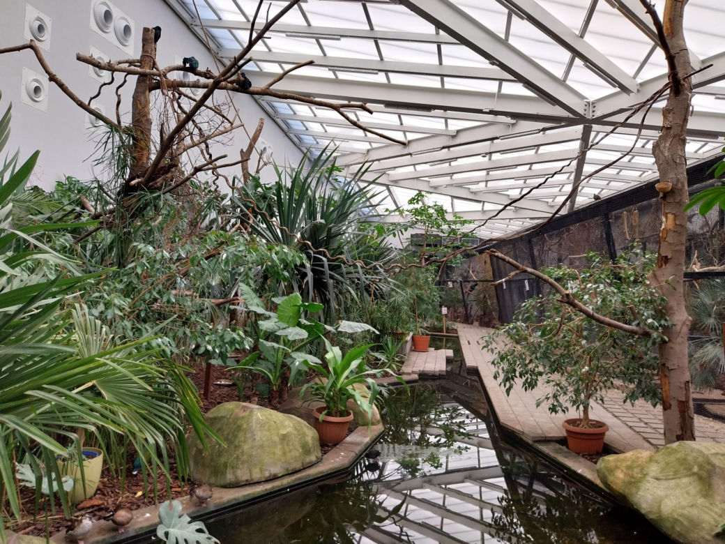 Wiosenny spacer w zamojskim zoo