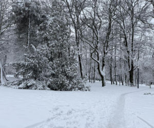 Sroga zima ponownie uderzyła na Pomorzu