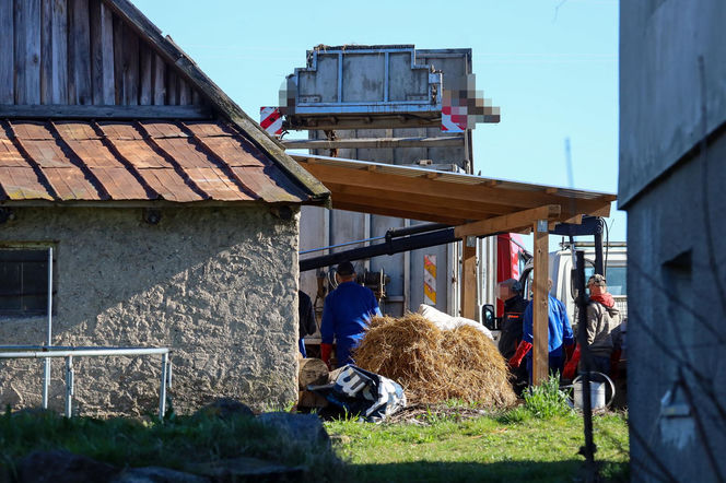 Horror koło Ostródy. Zwierzęta konały bez światła, wody i jedzenia