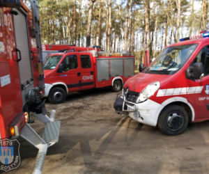 Gostynin: Ledwie wyszedł ze szpitala i ugrzązł na bagnach! Na pomoc ruszyli strażacy! [ZDJĘCIA]