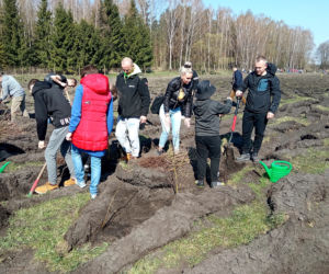 Akcja Grudziądzanie sadzą las!