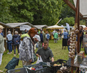 Weekend pełen smaków i tradycji! Gdynia zaprasza na 33. Dary Ziemi