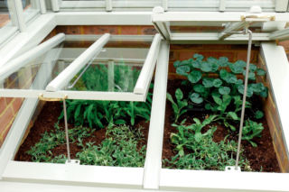 Inspekt w ogrodzie: sposób na wcześniejsze plony i zdrowe nowalijki