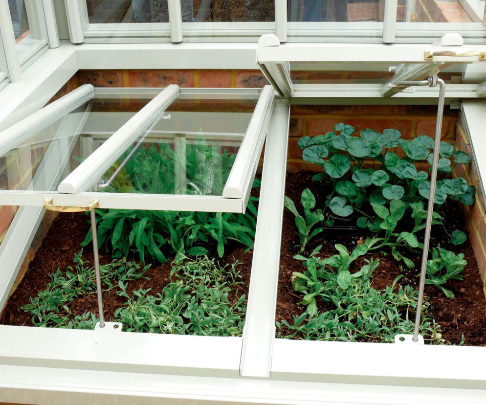 Więcej niż grządka! Poznaj moc, jaką daje inspekt