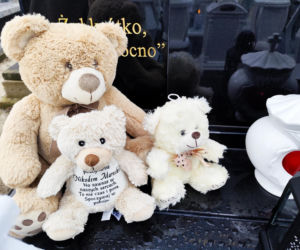 Białe misie strzegą grobu Nikodema Mareckiego. 11-letni aktor zginął w strasznym wypadku
