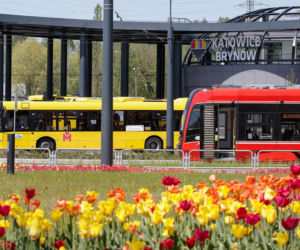 Katowice w ruchu. Zielona rewolucja na drogach i szynach