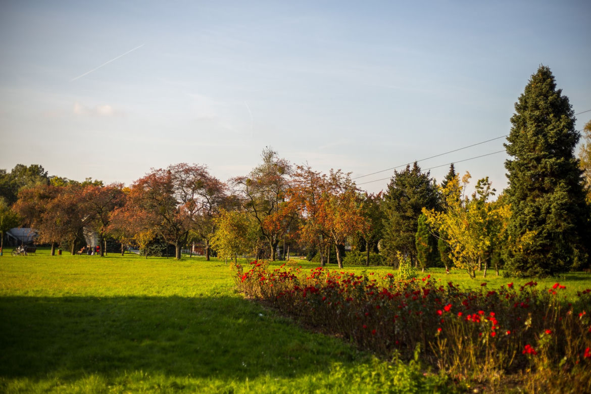 Park Śląski jesienią jest naprawdę piękny