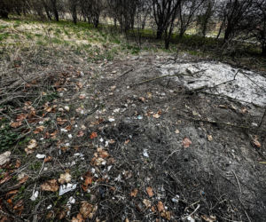 Zabrali dzieciom psa. Urzędnicy przyznali później: nie było podstaw!