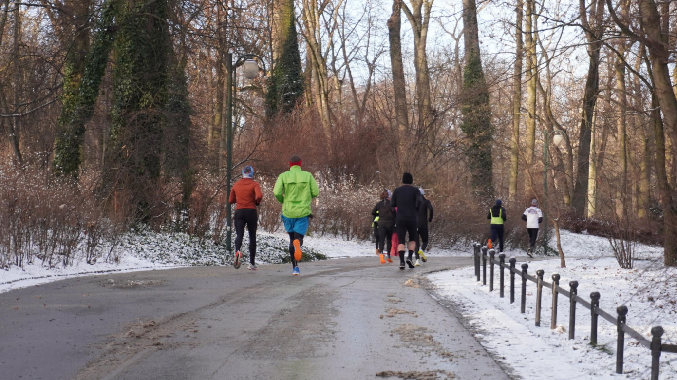 Parkrun w stolicy woj. lubelskiego. Pierwsza sobota 2025 roku na sportowo w Ogrodzie Saskim w Lublinie. Zdjęcia