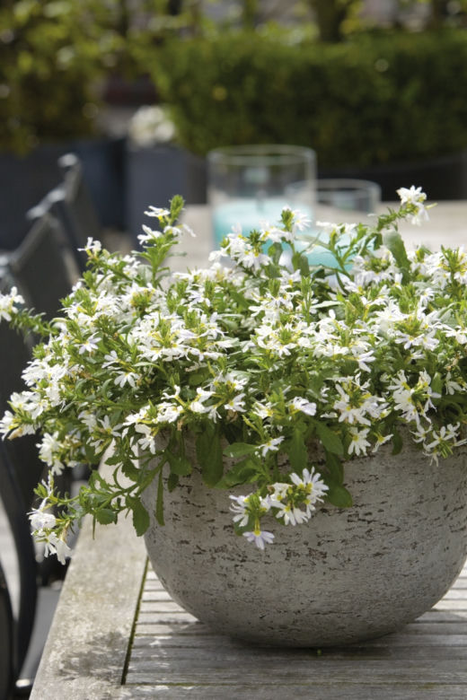 Ceramiczne donice na balkon