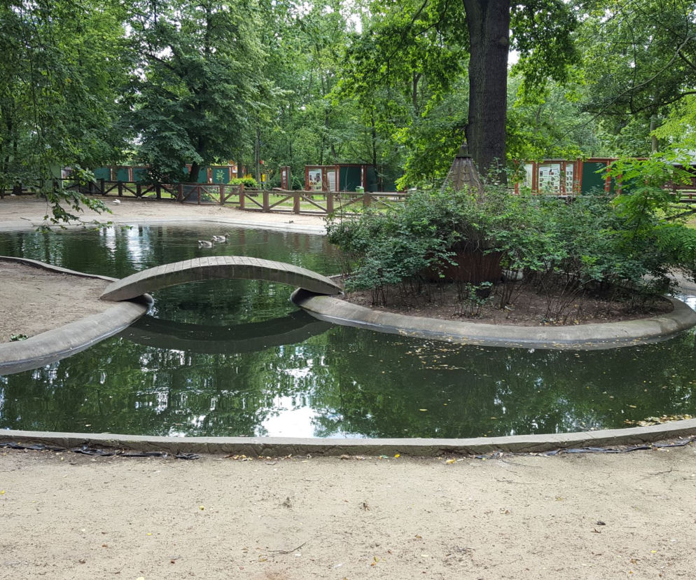 Będą nowe atrakcje w Mini Zoo w Lesznie