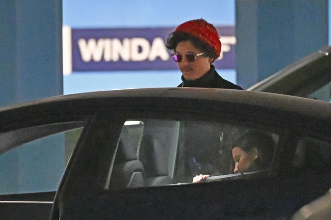 Kulisy premiery filmu DZIK